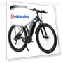 Electric Bike 750W Mountain Bike Dual Batteries Shimano Gear Smart APP — E-Bikes, DUOTTS