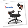 Ergonomic Chair with Adaptive Lower Back Support — Desk Chairs, NEWTRAL