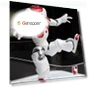 Thumbnail High Tech Artificial Intelligence Robot — Security & Surveillance Robots