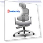 Ergonomic Chair with Adaptive Lower Back Support — Desk Chairs, NEWTRAL