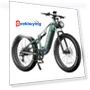 E26 Electric Bike with Bafang 750W Motor and Samsung Battery — Bikes by DUOTTS