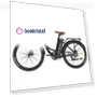थंबनेल Lasting Electric Bike — Electric Self-Balancing Scooters, Fafrees