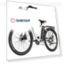 Превью Lasting Electric Bike — E-Bikes, Fafrees