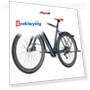 Electric Bike — Leisure Bicycles, Fafrees
