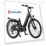 Electric Bike — Electric Self-Balancing Scooters, Vitilan