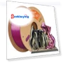 High Speed Four-color Silk PLA Filament — Filament, Eryone