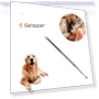 Thumbnail Pet Teeth Cleaning Tool — Toothbrushes