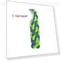 Thumbnail Cotton Rope Sets for Dogs — Chew Toys