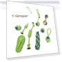 Thumbnail Cotton Rope Sets for Dogs — Chew Toys