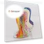 Превью Coloured Silicone Frosted Handle Coffee Tamper — Tampers