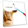 Превью Dual Head Toothbrush for Pets — Dental Care
