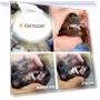 Thumbnail Pet Teeth Cleaning Tool — Toothbrushes