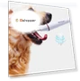 Thumbnail Ultrasonic Cleaning Machine for Pet Dogs — Ultrasonic Cleaners