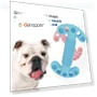 Превью Chewing Teeth Cleaning Toy — Bones