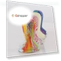 Thumbnail Coloured Silicone Frosted Handle Coffee Tamper — Tampers