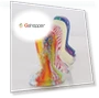 थंबनेल Colorful Silicone Frosted Handle Coffee Hammer — Coffee & Espresso Machine Components