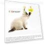 थंबनेल Funny Cat Toy — Cat Playthings