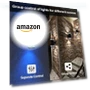 Превью Smart Up and Down Lights Outdoor 2 Pack — Garden Illumination, wowlite