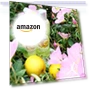 Thumbnail Christmas Gift Set for Women - 2 Piece Body Lotion & Body Wash Set — Women, Un Air d'Antan