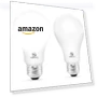 थंबनेल A21 LED Bulb — Compact Fluorescent, ENERGETIC SMARTER LIGHTING