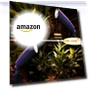 Thumbnail Smart RGB Color Changing Landscape Lighting — Garden Illumination, rosykite