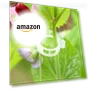Thumbnail Reusable Plastic Plant Clips for Climbing Plants — , FKMEE
