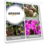 Thumbnail Reusable Plastic Plant Clips for Climbing Plants — , FKMEE
