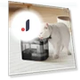 Automatic Water Fountain for Cats — Pet Hydration Solutions, Prodigen