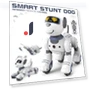 Interactive Robotic Dog — Interactive Animal Companions, Reggo