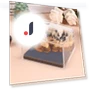 LED Illuminated Castle Desk Calendar 2025 with Touch Switch — Desk Calendars, Talos Sum