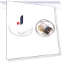 Refrigerator Thermostat — , Diaphanous