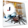 Remote Control Spider Toy — Interactive Figures & Robots, Talos Party Carnival