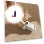 Smart Shoe Dryer — Shoe Dryers, L.RIDING PULO
