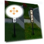 Solar Address Light — Garden Illumination
