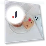 Cat Doll from Flower — Interactive, Board M Factory