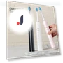 Electric Toothbrush with Replaceable Heads — Chargers, TOP MALL-005
