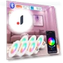 Smart Ceiling Light with Motion Sensor — Smart Home Modules, BC Electrical Appliances