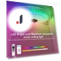 Smart Ceiling Light — Overhead Lighting, Refreshing Home