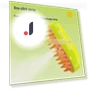Electric Massager and Spray Comb for Pets — Combs, AI Supermarket