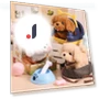 Electric Toy Dog Simulator — Interactive Animal Companions, kanyueliang