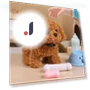 Interactive Puppy Toy — Interactive Animal Companions, Vogue Wardrobe