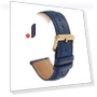 Leather Watch Strap with Quick Release — Bands, GOALMART