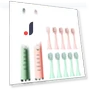 Rechargeable Sonic Electric Toothbrush — Sonic Electric Toothbrushes, QM Dream