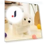 Robotic Puppy Toy — Interactive Animal Companions, Hello Garden