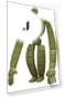 Castle in the Sky Robot Soldier Sonocho Plastic Model — Figure, Fine Mold