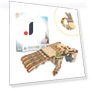Robot Hand Craft Kit — Construction Kits, TOKYO selection
