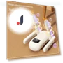 Smart Shoe Dryer and Sterilizer — Shoe Dryers, Warm Land