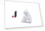 Fave Kimit Ragdoll Pet Robot Cat — Interactive Animal Companions, NOBU JAPAN