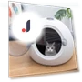 Smart Pet Drying Box — Clothes Dryers, HOME-Auto-001