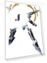 Super Robot Chogokin Aquarion EVOL — Figure, TAMASHII NATIONS
